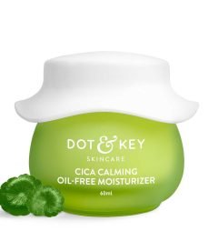 Cica (Centella) + Niacinamide Oil Free Moisturizer